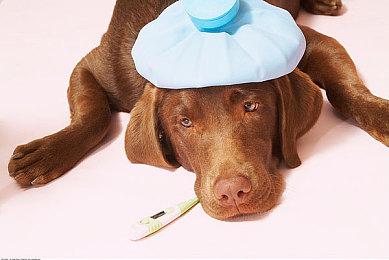 Steam免费游戏《PirateFi》被抓包：偷偷安装恶意软件